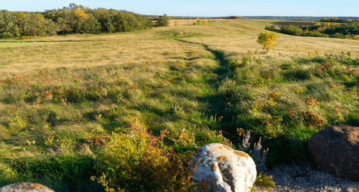 Fort Daer Campground